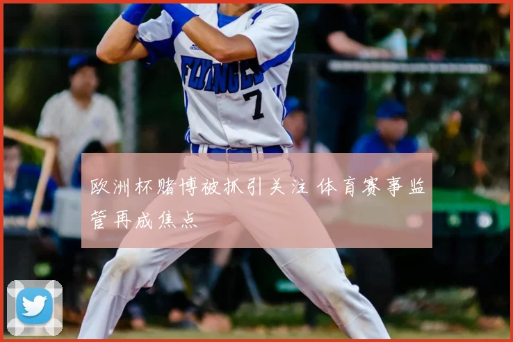 欧洲杯赌博被抓引关注 体育赛事监管再成焦点