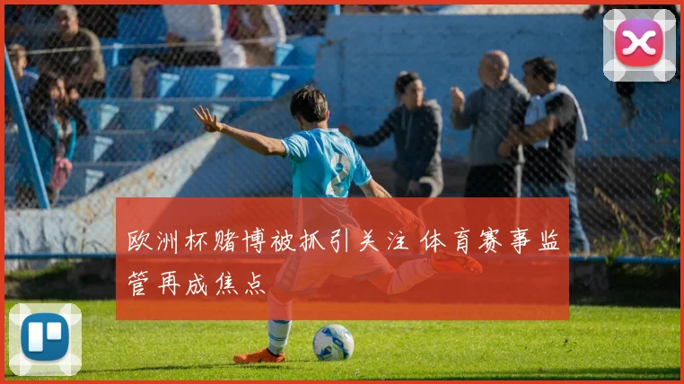 欧洲杯赌博被抓引关注 体育赛事监管再成焦点