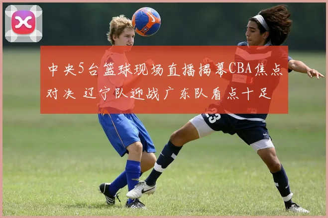 中央5台篮球现场直播揭幕CBA焦点对决 辽宁队迎战广东队看点十足